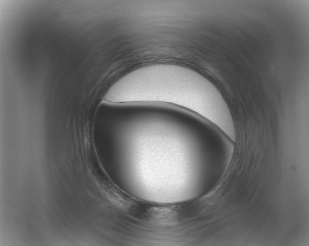X0000062790170200512221141