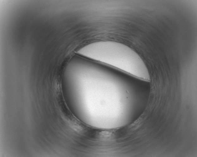 X0000062790176200512221141