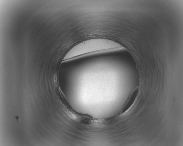 X0000062790192200512221142