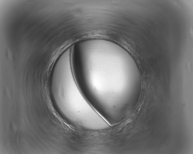 X0000062790193200512221141