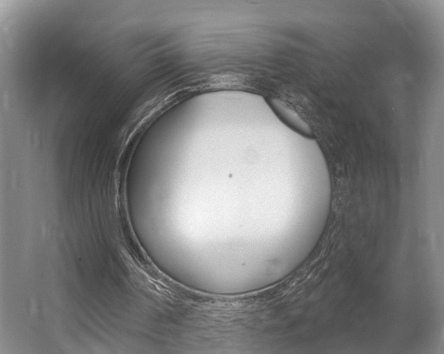 X0000062790194200512221141