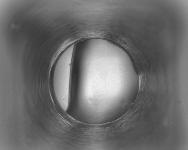 X0000062790195200512221141