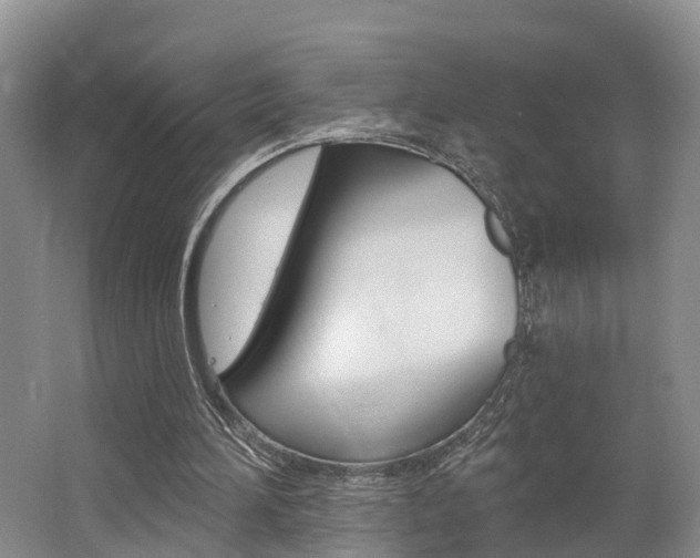 X0000062790196200512221141