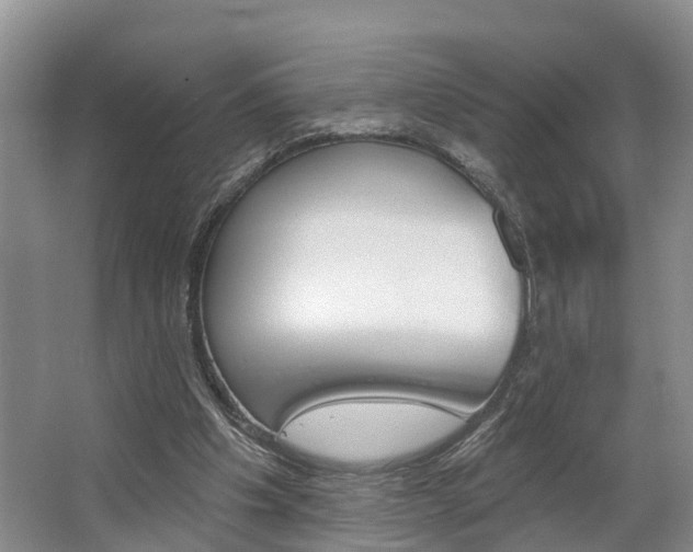 X0000062790201200512221141