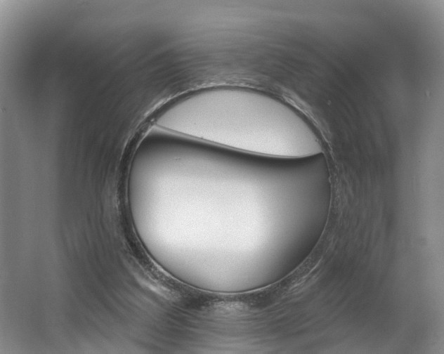 X0000062790203200512221141