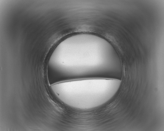 X0000062790204200512221141