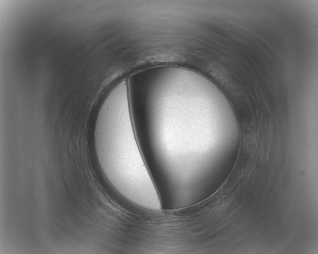 X0000062790207200512221141