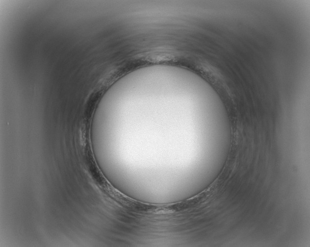X0000062790210200512221141