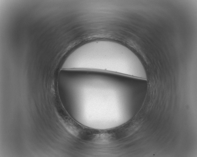 X0000062790212200512221141