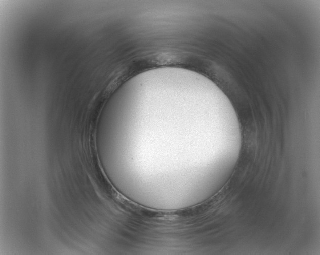 X0000062790214200512221140