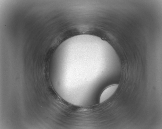 X0000062790221200512221140