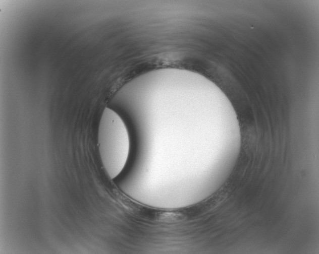 X0000062790222200512221140
