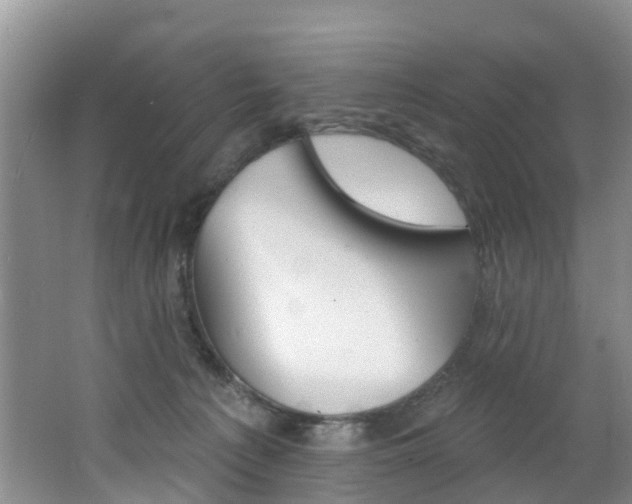 X0000062790225200512221140