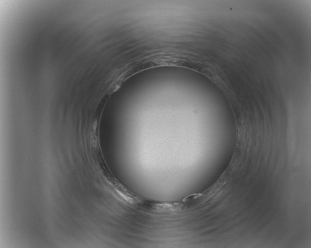 X0000062790239200512221140