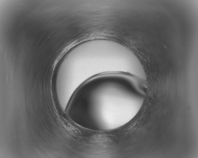 X0000062790244200512221139