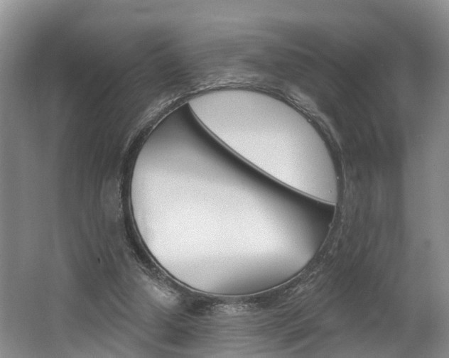 X0000062790250200512221139