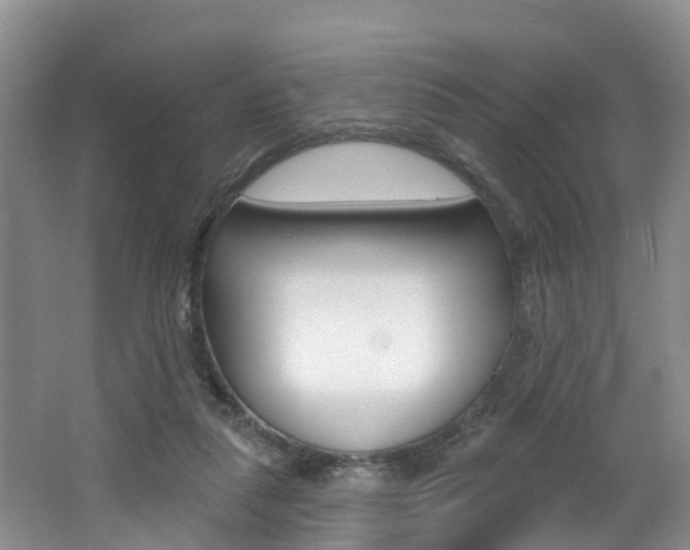 X0000062790259200512221140