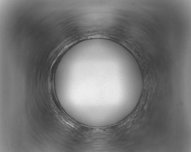 X0000062790290200512221139