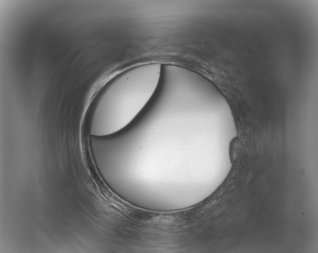 X0000062790294200512221139