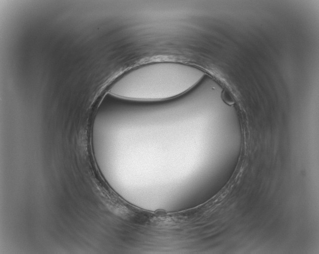 X0000062790297200512221139