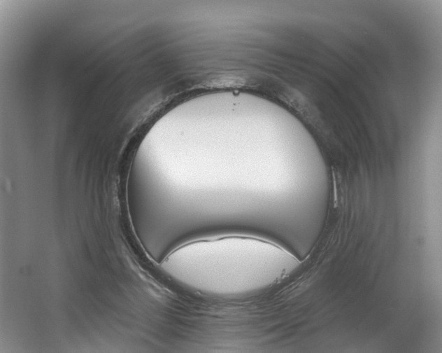 X0000062790300200512221139