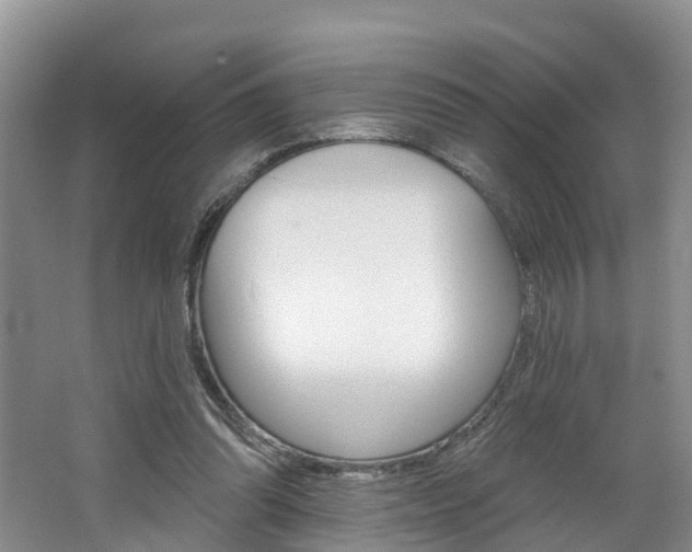 X0000062790302200512221139