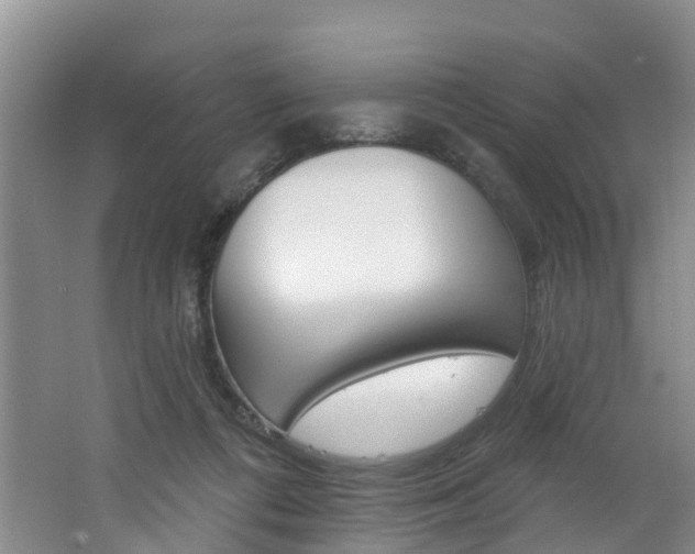 X0000062790312200512221139
