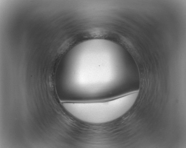 X0000062790317200512221139