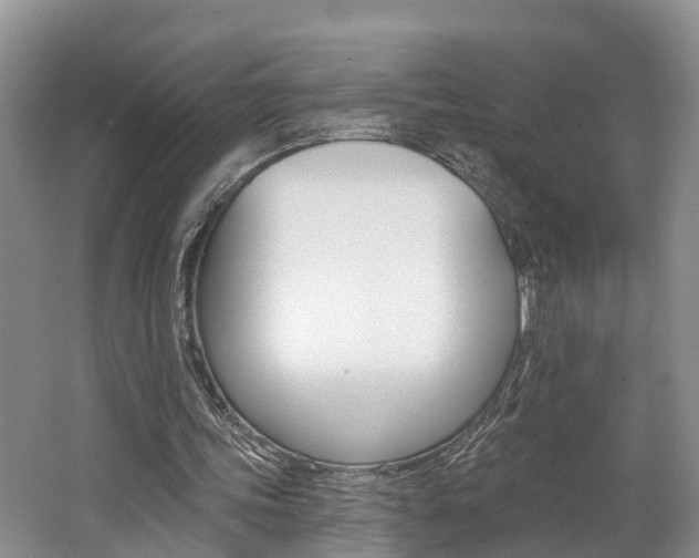 X0000062790339200512221138