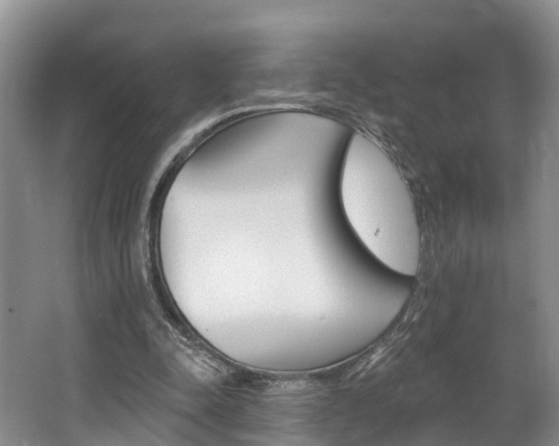 X0000062790342200512221138