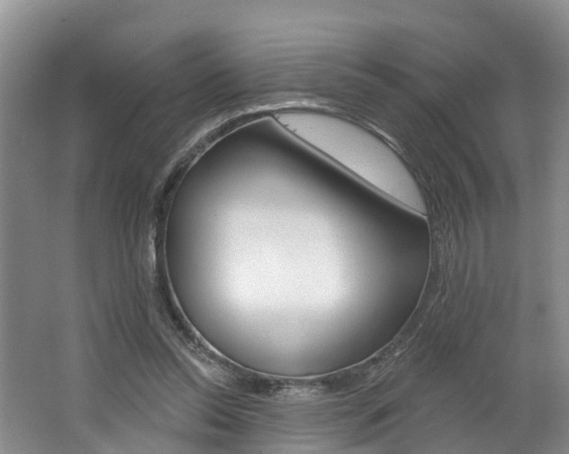 X0000062790350200512221138