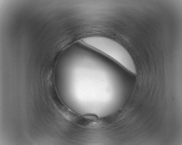 X0000062790364200512221138