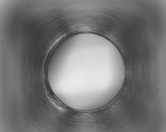X0000062790390200512221137