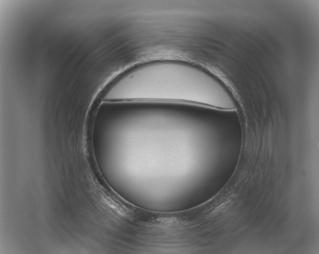 X0000062790391200512221137