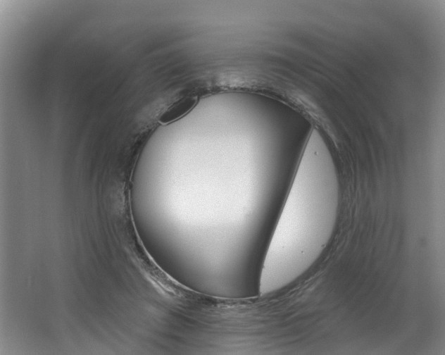 X0000062790401200512221137