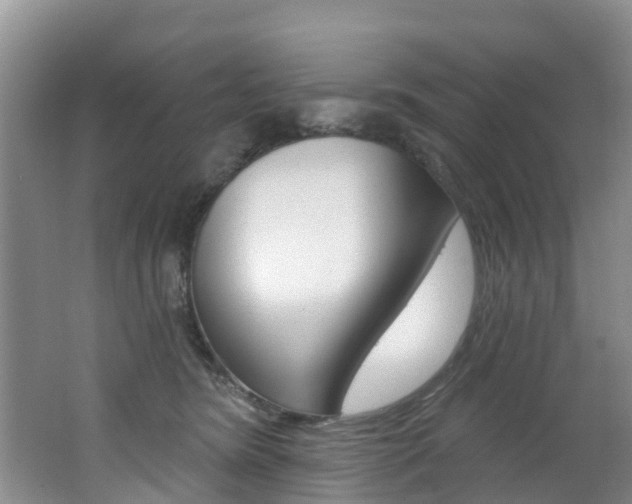 X0000062790420200512221137