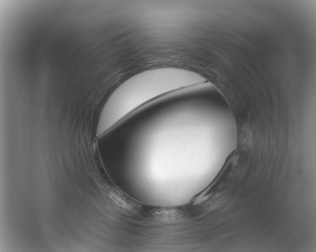X0000062790428200512221137