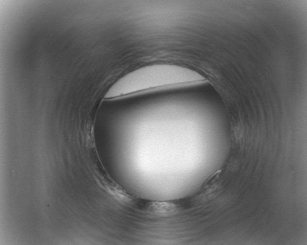 X0000062790429200512221137