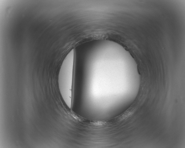 X0000062790432200512221137