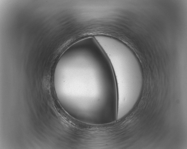 X0000062790434200512221136