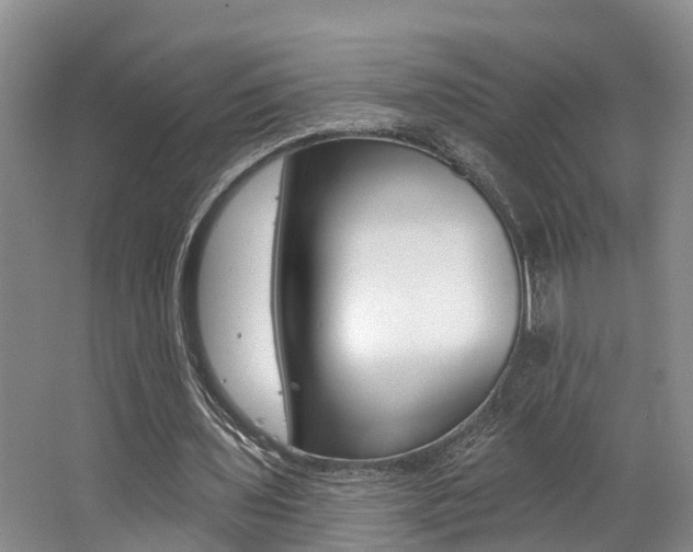 X0000062790435200512221136