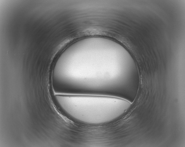 X0000062790438200512221136