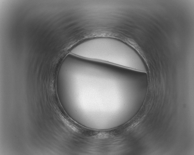 X0000062790441200512221136