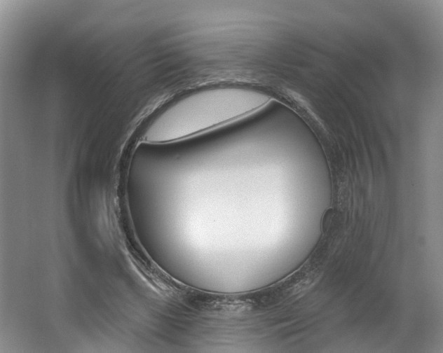 X0000062790443200512221136