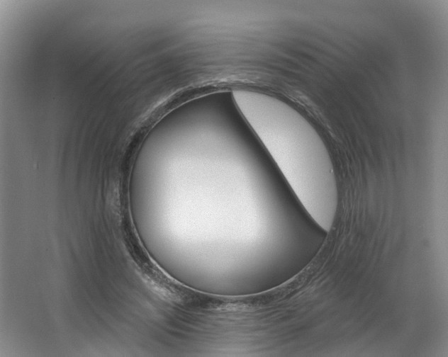 X0000062790444200512221136