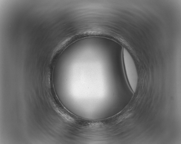 X0000062790446200512221136
