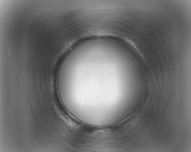 X0000062790447200512221136