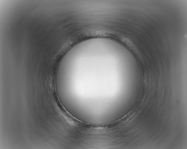 X0000062790449200512221136