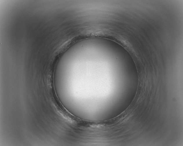 X0000062790450200512221136