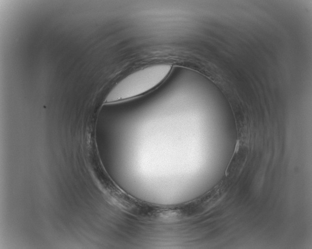 X0000062790456200512221136
